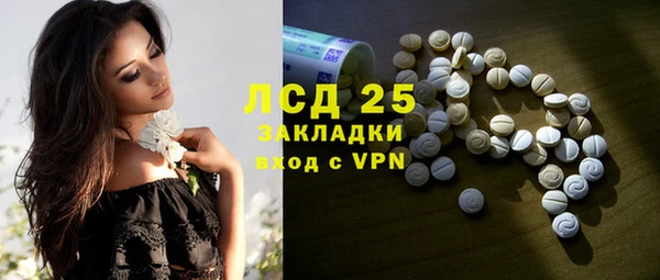 шишки Верея