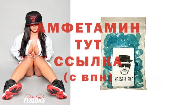 шишки Верея
