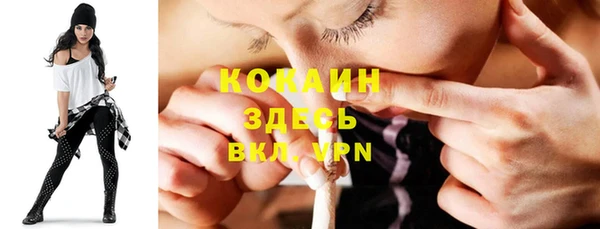 шишки Верея