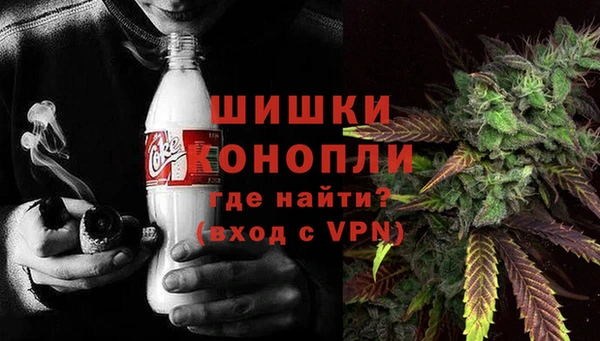 индика Козельск