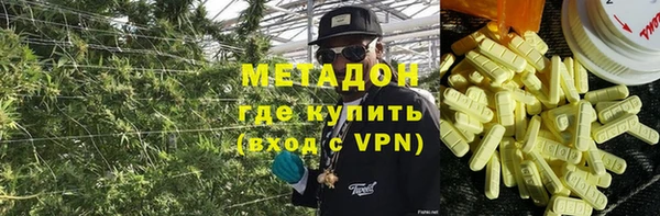 шишки Верея