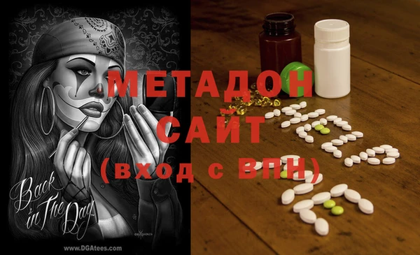 шишки Верея