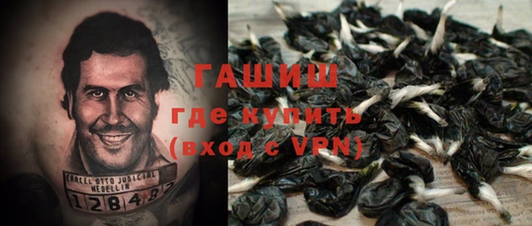 PSILOCYBIN Козловка
