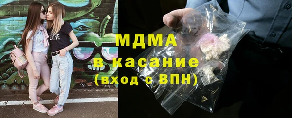 шишки Верея